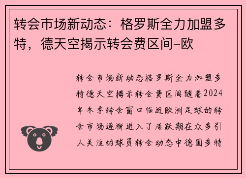 转会市场新动态：格罗斯全力加盟多特，德天空揭示转会费区间-欧